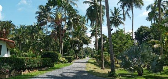 La Rhumerie De Samui Restaurant